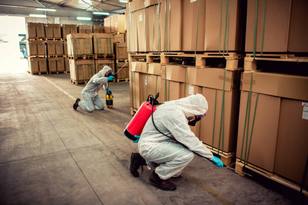 Best Termite Control Services  in Avodo Heights, CA