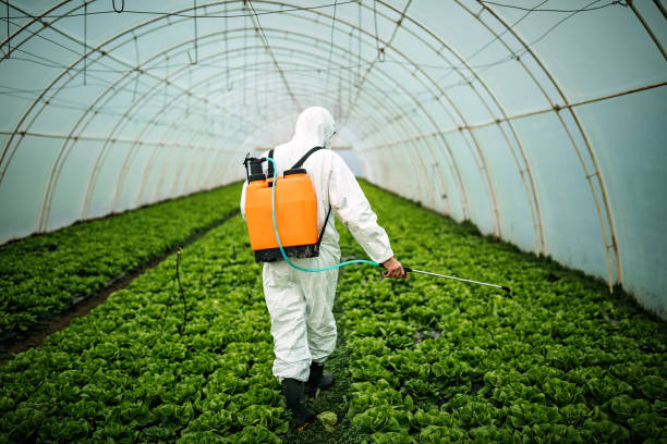 Best Mosquito Control Services  in Avodo Heights, CA