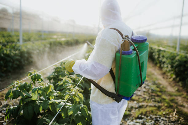 Best Flea Control Services  in Avodo Heights, CA